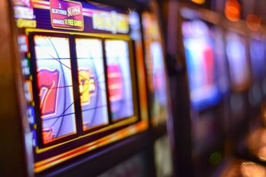 Dragon Tiger betting controls on misterhoki login interface